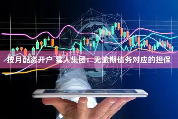按月配资开户 雪人集团：无逾期债务对应的担保